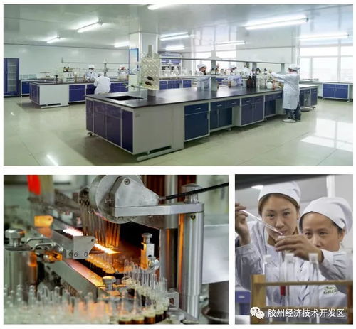 集中簽約，示范區明星企業精彩亮相——精心設計網站助力招商盛會